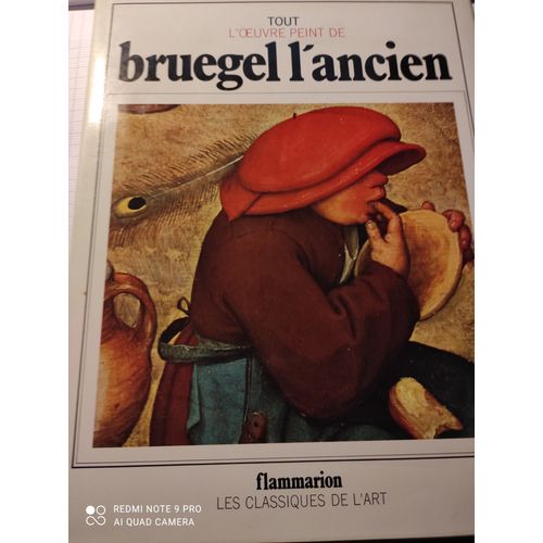 Tout L'oeuvre Peint De Bruegel L'ancien   de bruegel l ancien tolnay ch de bianconi p 