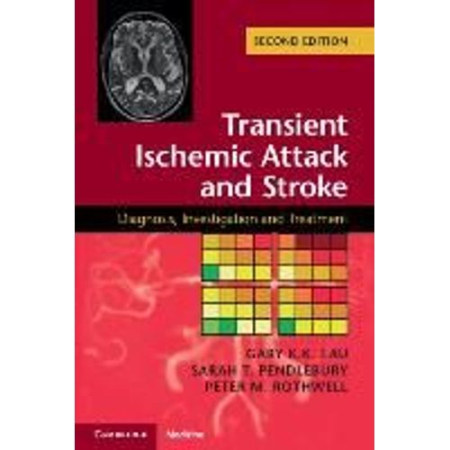 Transient Ischemic Attack And Stroke    Format Broch 