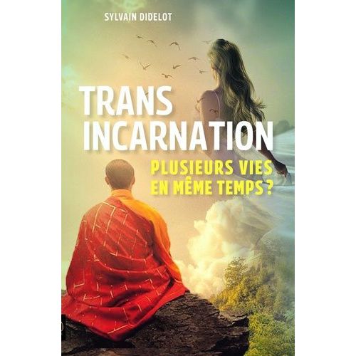 Transincarnation - Plusieurs Vies En Mme Temps ?   de Didelot Sylvain  Format Grand Format 
