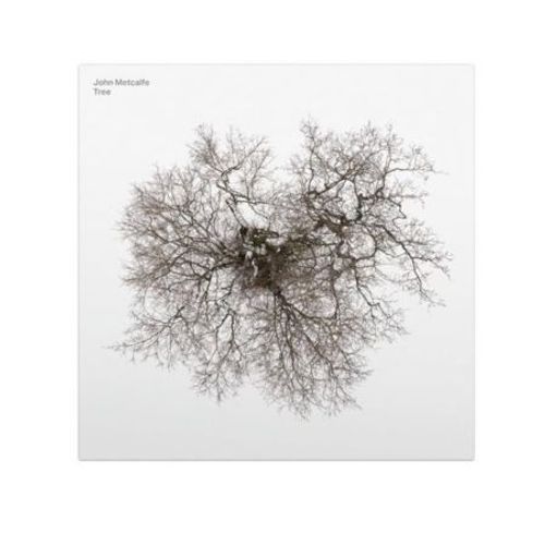 Tree - Cd Album - John Metcalfe