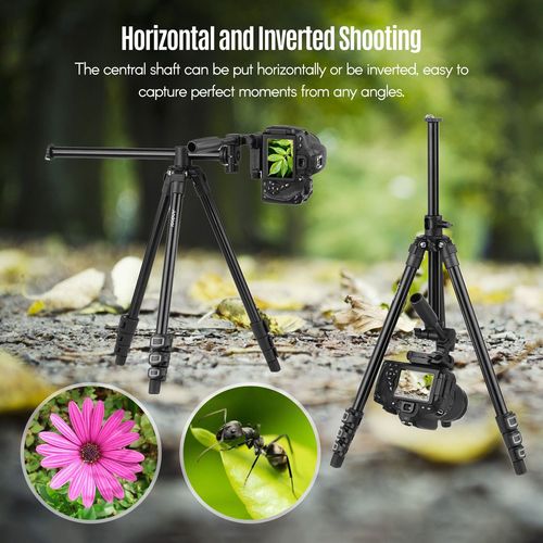 Trpied vido professionnel Q160HA, support horizontal, robuste pour appareil photo DSLR, camscopes, mini projecteur.