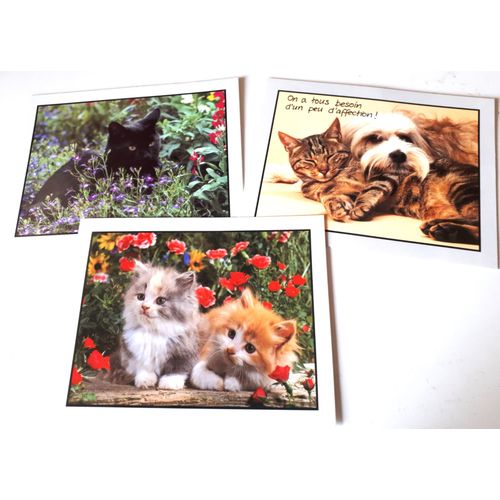 Trois Belles Images Cartonnes 19.5x15cm Avec Un Chat Noir + Un Chien Et Un Chat Tigr + Deux Adorables Chatons Gris Et Roux -  Encadrer Ou Pour Collection De Chats Ou Plaisir De L'image
