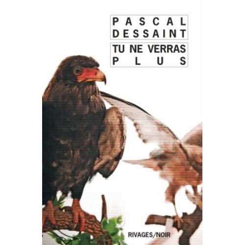 Tu Ne Verras Plus   de Dessaint Pascal  Format Poche 