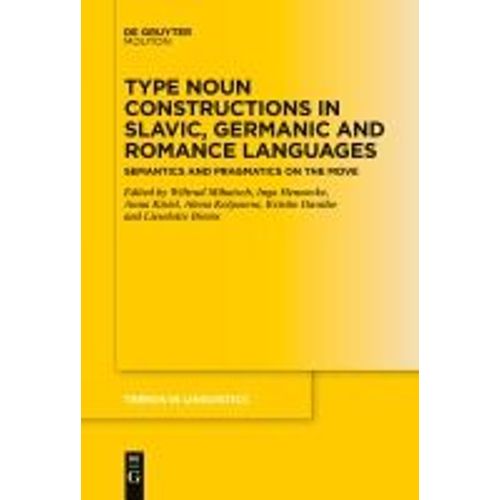 Type Noun Constructions In Slavic, Germanic And Romance Languages    Format Broch 
