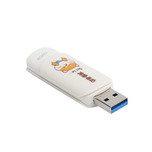 U Disque Portable USB2.0 Lecteur Flash pour tudiant Mignon Stockage De Donnes Memory Stick Cadeau (Slide CoverKeep Smiling 128GB)