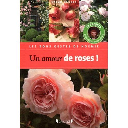 Un Amour De Roses   de Vialard Nomie  Format Broch 