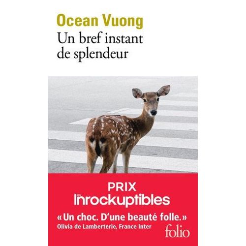 Un Bref Instant De Splendeur  