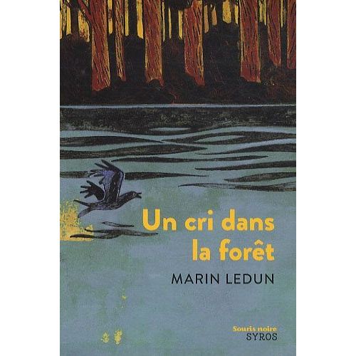 Un Cri Dans La Fort    Format Poche 