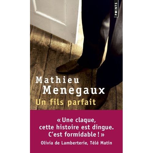 Un Fils Parfait    Format Poche 