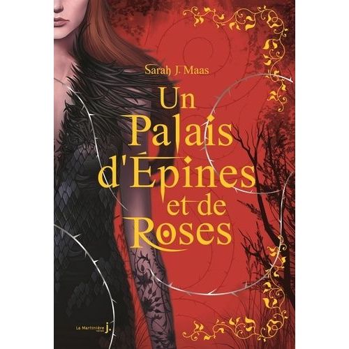 Un Palais D'pines Et De Roses - Tome 1    Format Beau livre 