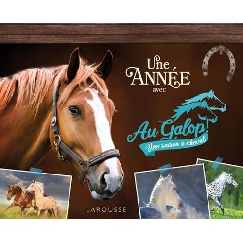 Une Anne Avec Au Galop   de Tesseyre Ccile  Format Beau livre 