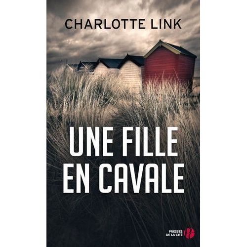 Une Fille En Cavale    Format Beau livre 