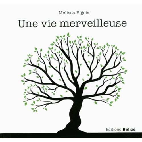 Une Vie Merveilleuse   de Pigois Melissa  Format Album 