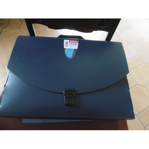 Valisette Boite De Rangement Polypropylne  Poigne Dos 80 Esselte 847615