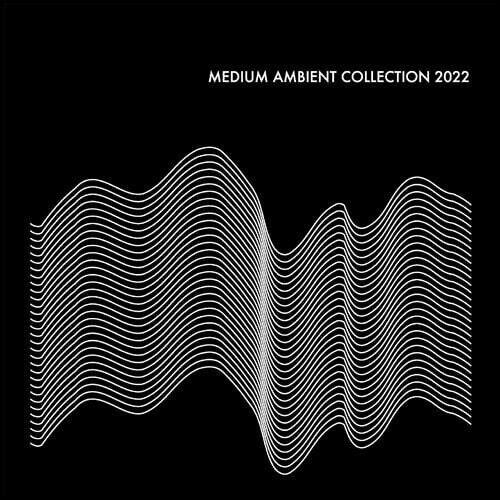 Various Artists - Medium Ambient Collection 2022 Black / Various [Vinyl Lp] - 