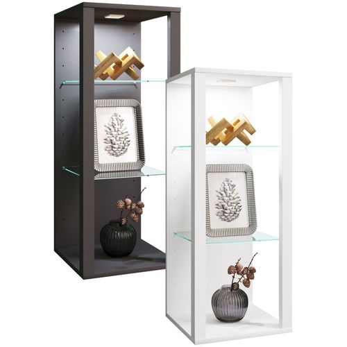 Vcm Bois Verre Vitrine Murale Vitrine Suspendue Vitrine De Collection Vitrine Vitrine Sur Pied Vitrine Glasol Mw