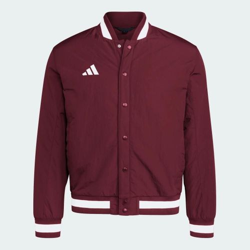 Veste Dugout Coaches (Non Genre) Adidas - Team Maroon - 2xl