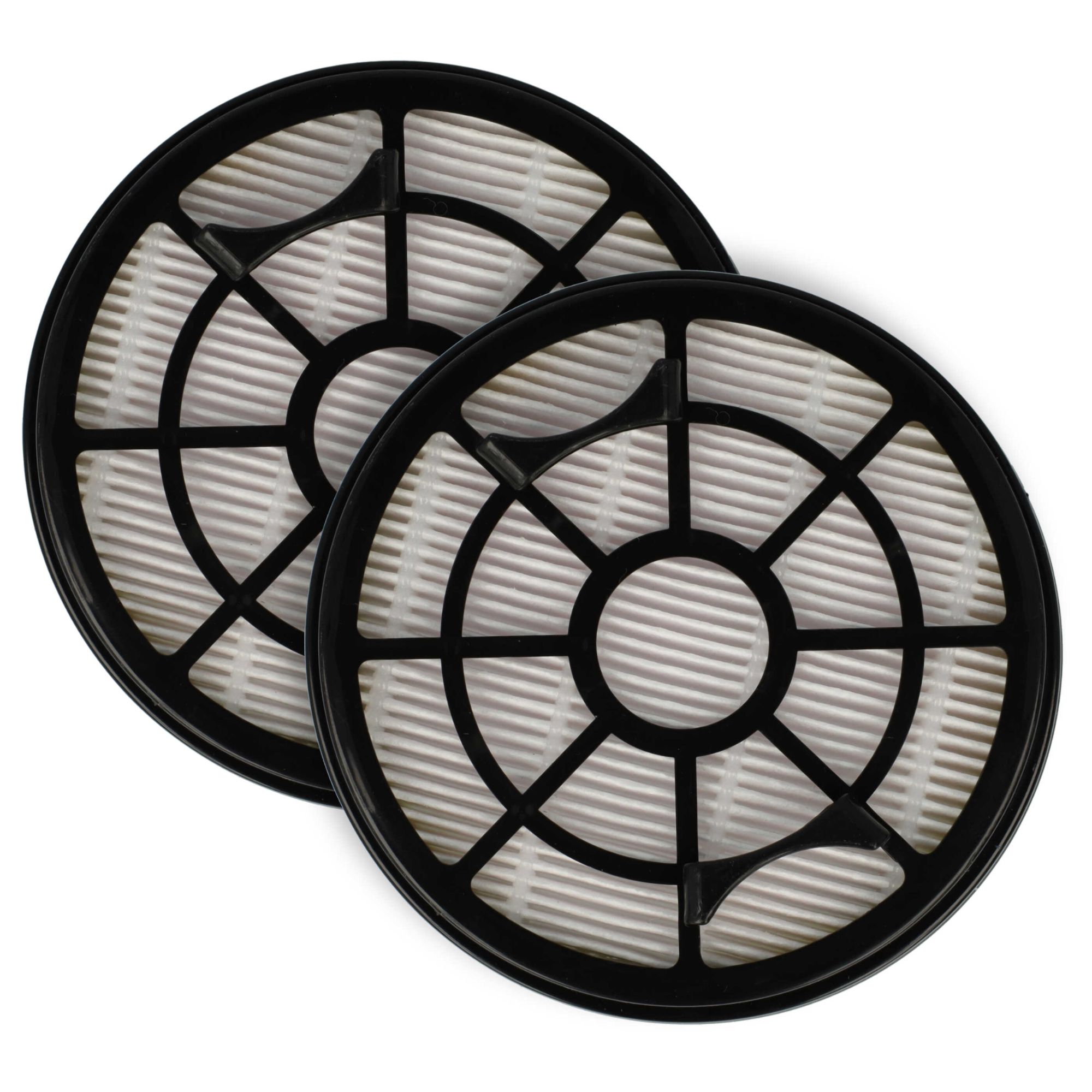 vhbw 2x filtre compatible avec Rowenta Swift Power Cyclonic RO2910, RO2910EA, RO2913, RO2913EA, RO2915 aspirateur - Filtre HEPA contre les allergies