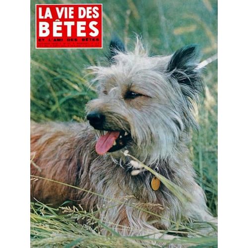 Vie Des Betes (La) N 63 Du 01/10/1963 - Les Mysteres Du Monde Animal  -   La Vache - Leon Zitrone  -   Cheval De Course - Les Autruches - Les Petits Pandas - Les Oiseaux - Le Blaireau - Le Tigre De Siberie - Escargot - L'otarie - J. Delaborde - L...