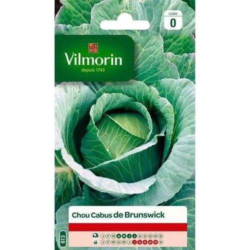 Vilmorin Chou Cabus De Brunswick