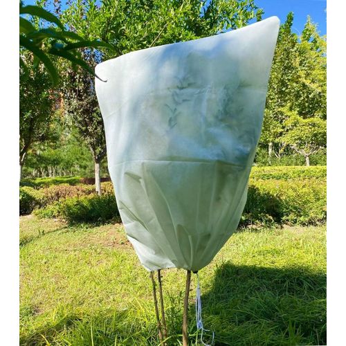 Voile D'hivernage Plante Housses Protection Beige 80g/M2 100 Cm X 120 Cm Avec Fermeture Clair Pour Plantes Palmiers En Pot D'olivier RSistant Aux DChirures Uv Stable RUtilisable
