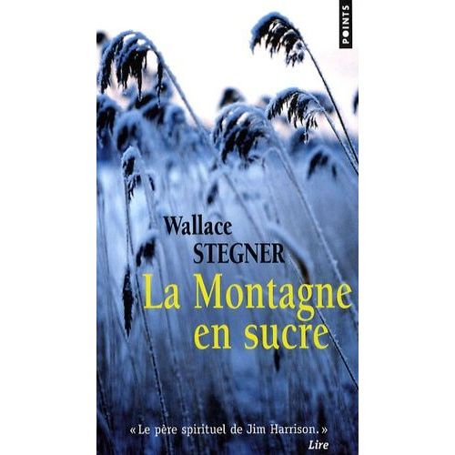 La Montagne En Sucre    Format Poche 