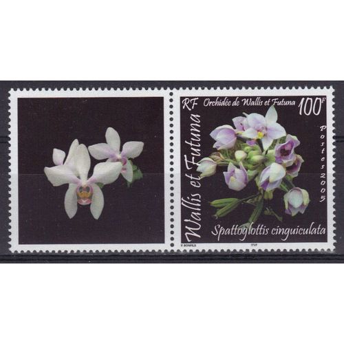 Wallis Et Futuna 2005 : Flore : Fleurs : Orchides : Spattoglottis Cinquiculata - Timbre 100 F. Neuf ** Avec Vignette En Fleurs