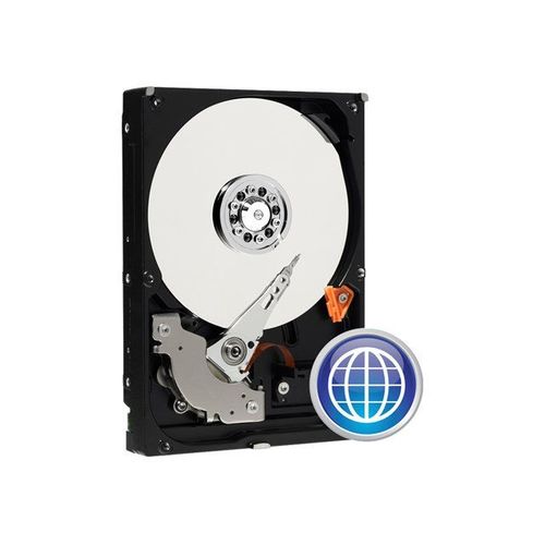 WD Blue WD2500AAKS - Disque dur