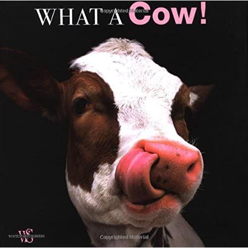 What A Cow! (Animal Parade)   de Araldo De Luca  Format Broch 