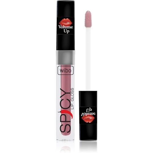 Wibo Lip Gloss Spicy Brillant  Lvres Volumisant 20 3 Ml