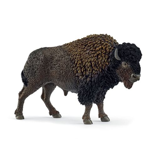 Wild Life Bison