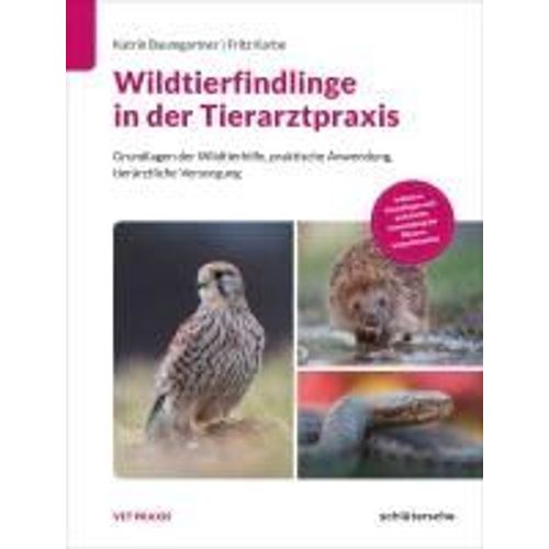 Wildtierfindlinge In Der Tierarztpraxis    Format Reli 