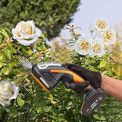 Worx Set Sculpte Haies Et Taille Herbes Sans Fil Lithium Ion Wg E