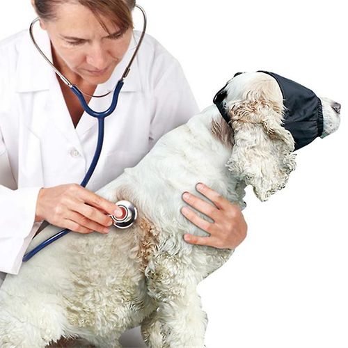 Xl Masque Apaisant Pour Les Yeux Pour Chien Masque D'ombrage En Nylon Masque D'anxit Pour Animaux De Compagnie Bandeau De Toilettage Anti-Mal De Voiture Essentiels Coupe-Vent viter La Lumire (Noir)