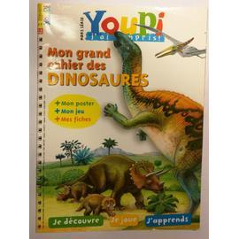 Youpi Hors Serie Mon Grand Cahier Des Dinosaures N H M