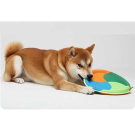 Frisbee d\'entrainement pour chien