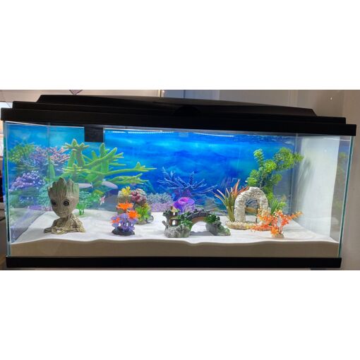 Roches Volcaniques Pierres De Lave 25 Kg – Granulométrie 5-8 Mm, Rouge, Pour Aquarium Décoration