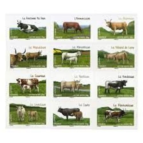Faune : Les Vaches De Nos Régions Série Complète Année 2014 Autoadhésifs N° 953 954 955 956 957 958 959 960 961 962 963 964 Yvert Et Tellier