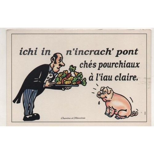 Carte Postale Theme Humour - Ichi In N'incrach' Pont Ches Pourchiaux A L'iau Claire