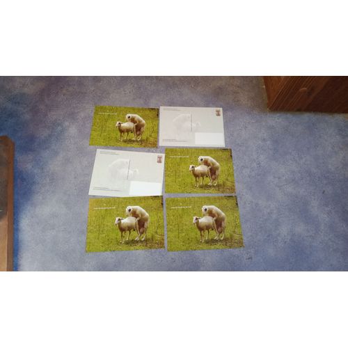 J'aime Les Moutons, Les Vrais. Lot De 6 Cartes Postales Éditées À Montcuq. Et Les Électeurs Bêlaient. Carte Humour Ternoise 2024. Devise Lotoise, À Certaines Époques.