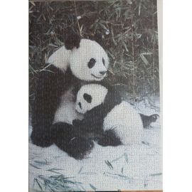 Puzzle Panda 504 Pièces 34x50 Cm