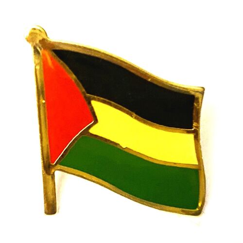 Pins Drapeau De La Palestine
