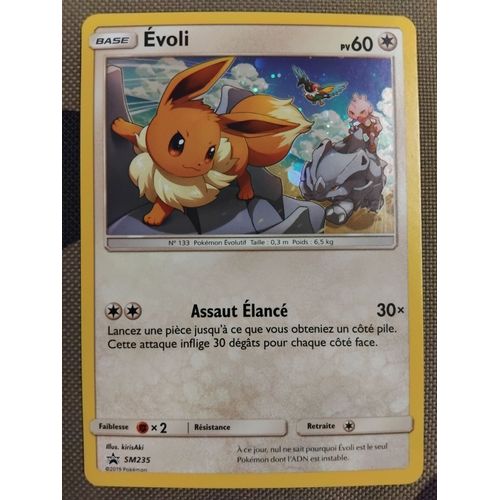 Carte Pokemon Evoli Holographique