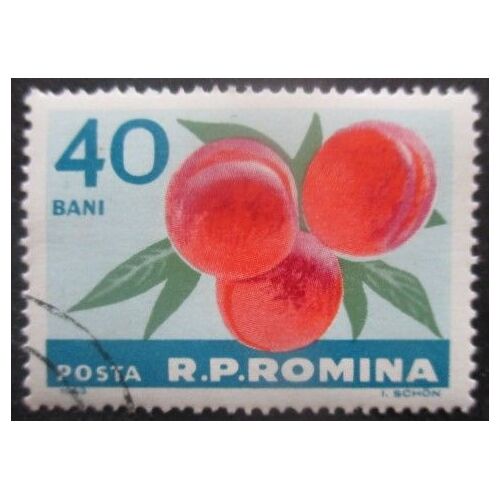 Roumanie N°1931 Pèches Oblitéré