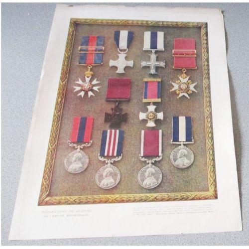 Planche En Couleurs De Décorations De Guerre : Empire Britannique - Supplément À L'illustration N° 3879 Du 7/7/1917 - Dimensions Exterieures Avec Le Tour Blanc 30x40cm