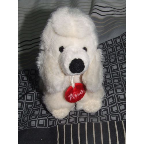 Chien Trudi Caniche