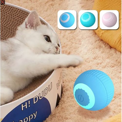 Jouet Pour Chat