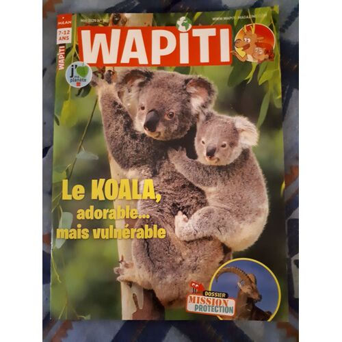 Wapiti 398 Koala