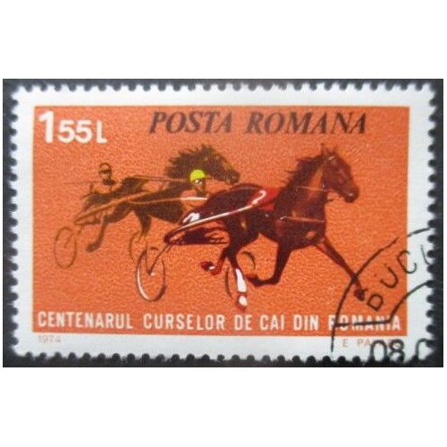 Roumanie N°2831 Hippisme Oblitéré
