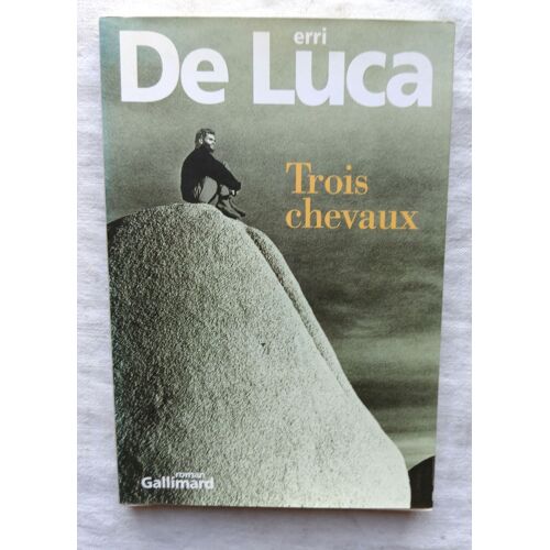 Erri De Luca, Trois Chevaux, Nrf - Gallimard, 2001, Traduit De L'italien Par Danièle Valin
